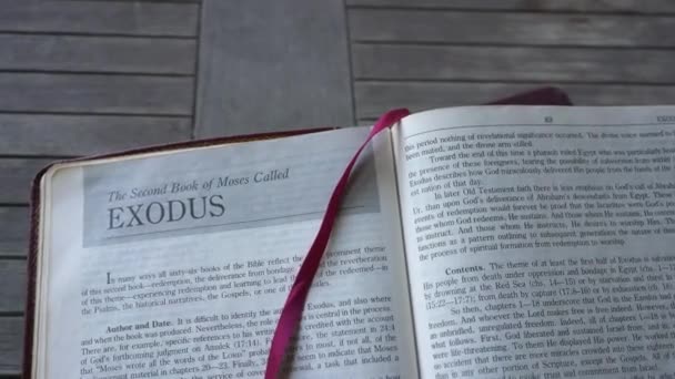 Libro Del Éxodo Del Antiguo Testamento Santa Biblia Cristiana Panorámica — Vídeo de stock
