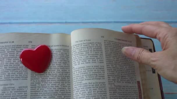 Passage Gift Love Corinthians New Testament Holy Bible Red Heart — Stock Video
