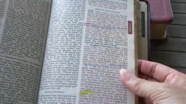 新約聖書のヨハネの書10章10節にズームインする — ストック動画