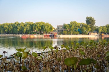 Pekin, Çin - 21 Ekim 2024: Pekin Parkı manzarası. Turistler arasında popüler bir seyahat merkezi.