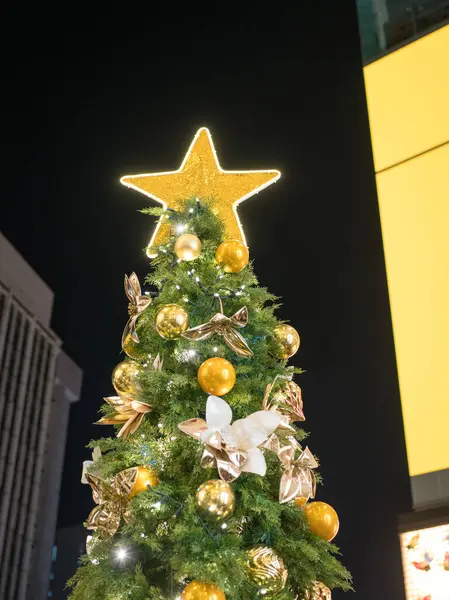 Tepesinde altın rengi yıldız olan Noel ağacı, şehirde parlıyor..