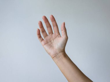 Sağ el kaldıran kadın. Beyaz arkaplanda izole.