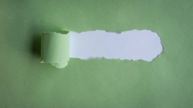 Beyaz arka planda yeşil kağıtta yırtılmış bir delik. Boşluğu kopyala.