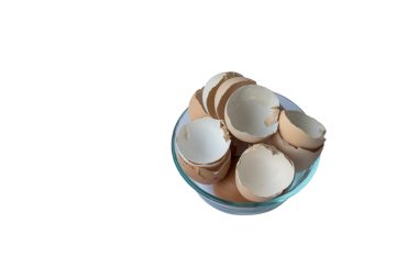 Şeffaf arka planda izole edilmiş bir kasede kırılmış tavuk yumurtası kabukları..