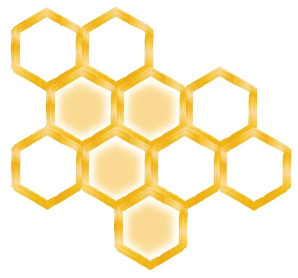Honingraat Illustratie Geïsoleerd Witte Achtergrond — Stockfoto