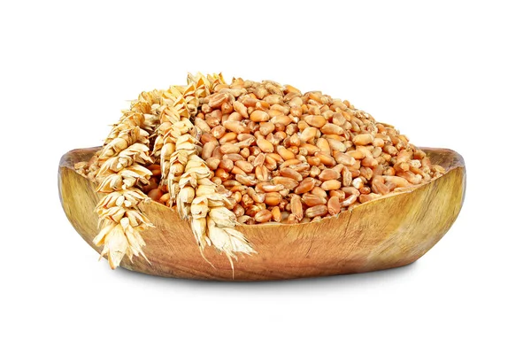 Wheat Grain Wooden Bowl Isolated White — Stock Photo, Image