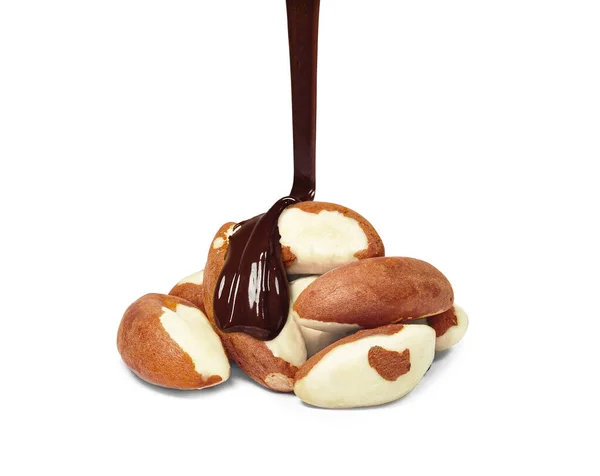 Шоколад Капает Бразильские Орехи Изолированы Белом — стоковое фото