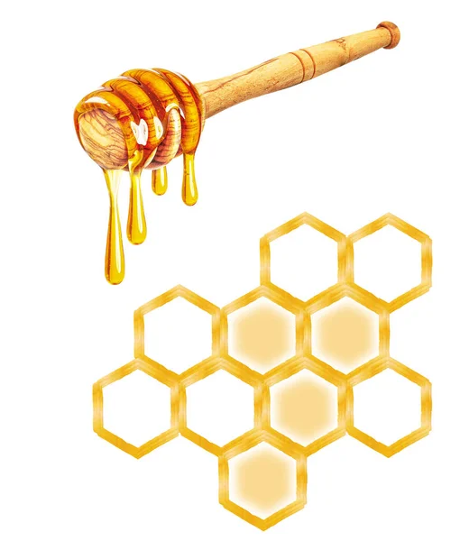 Honingraat Druppelende Honing Geïsoleerd Witte Achtergrond Stockfoto