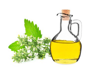 Beyaz arka planda izole edilmiş şişedeki kedi nanesi yağı.