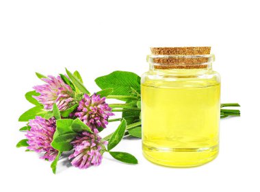 Beyaz arka planda izole edilmiş cam bir şişedeki yonca yağı.