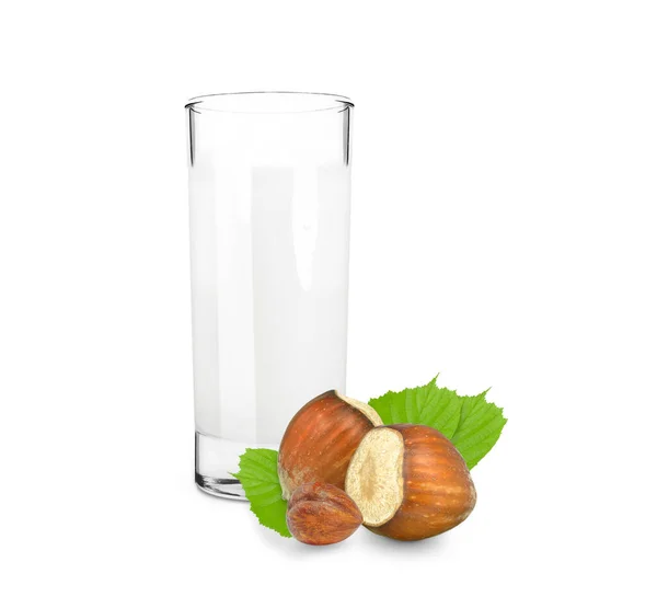 Hazelnut Milk Isolated White Background — Stock Photo, Image