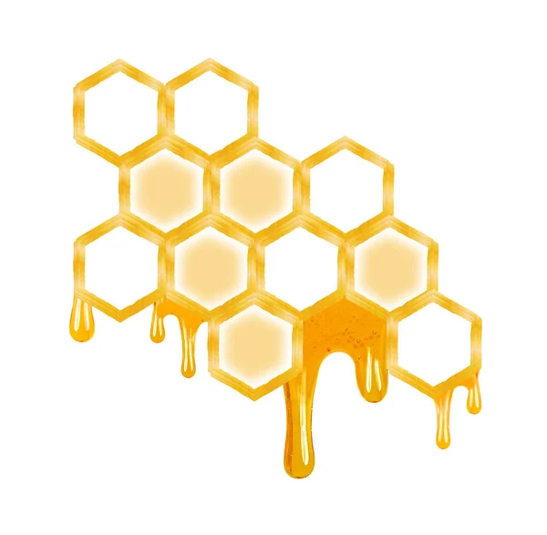 Honing Druipend Van Honingraat Geïsoleerd Witte Achtergrond — Stockfoto