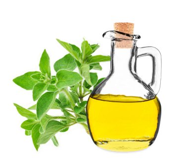 Beyaz arka planda izole edilmiş şişedeki Oregano yağı.