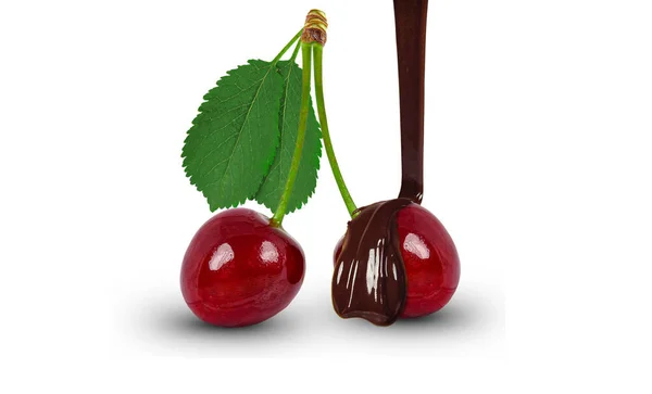 Dripping Chocolate Cherries Isolated White Background — Stock Photo, Image