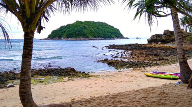 Ko Man Adası, Tayland, plaj ve palmiye ağaçlarının manzarası