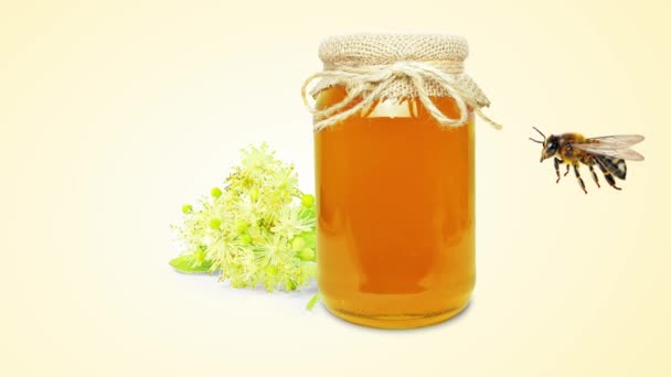 Flying Bee Linden Honey Jar Isolated White — Stock Video