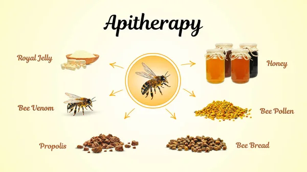 royal jelly, honey, propolis, bee bread, pollen, bee venom isolated
