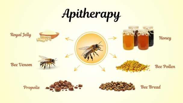 Royal Jelly Honey Propolis Bee Bread Pollen Bee Venom Isolated — Stock Video
