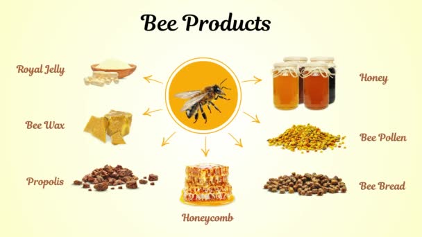 Produkty Pszczele Galaretka Królewska Miód Propolis Chleb Pszczeli Pyłek Izolowany — Wideo stockowe