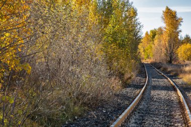 Sonbahar ormanına giden tren yolu manzarası.