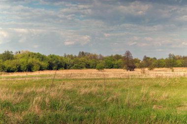 Ros Nehri Vadisi yaz manzarası, Orta Ukrayna.