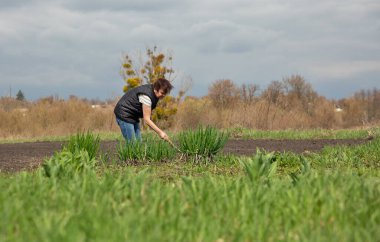 Beyaz, orta yaşlı kadın baharda bahçede çalışıyor.
