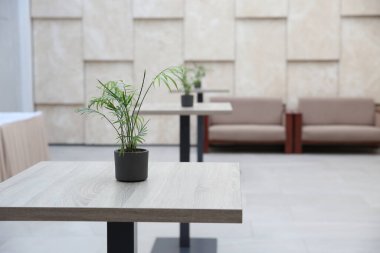 Boş modern otel karşılama salonu yüksek masalar, kanepeler ve kapalı salonlar. Bej renklerle.