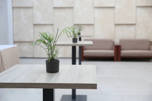 空荡荡的现代酒店欢迎大堂与高桌 沙发和室内植物 — 图库照片