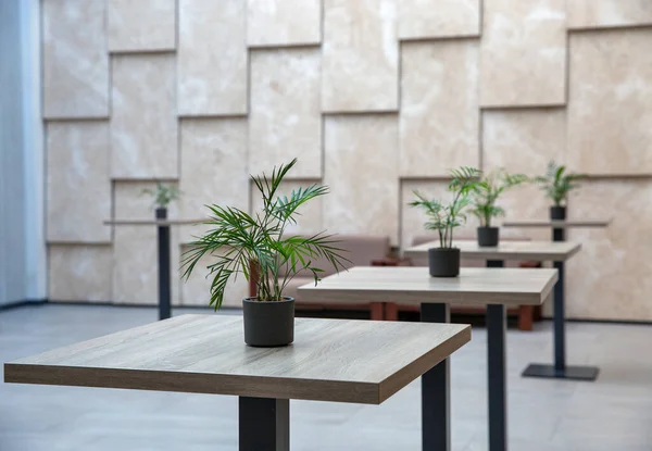 Empty modern hotel welcome lounge with high tables and indoor plants. In beige colors.