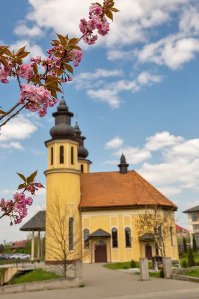 Kirschblütenzweig Und Kirche Des Heiligen Großmärtyrers George Der Siegreiche Hintergrund — Stockfoto