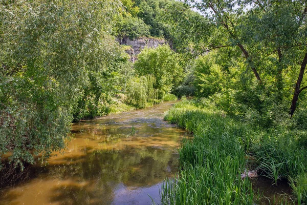 渓谷のスモーキー川を見下ろす ウクライナのカマニエツ ポディルスキー — ストック写真
