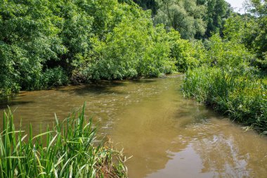Kanyondaki Smotrych Nehri 'ne bak. Kamianets-Podilskyi, Ukrayna.