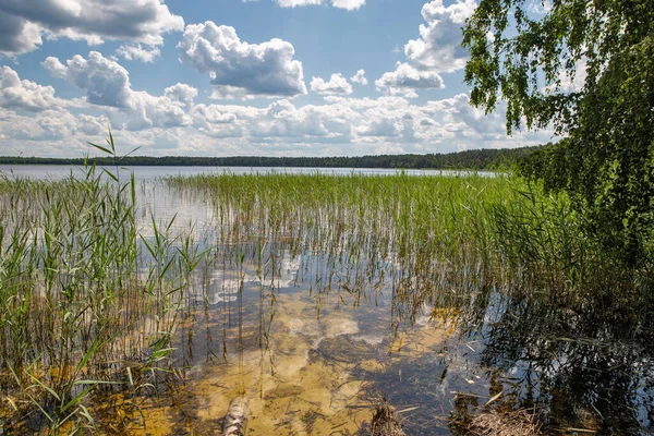 View White Lake Shore Rivne Region Ukraine — Stock Photo, Image