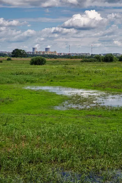 原子力発電所や沼のあるバラシティ — ストック写真
