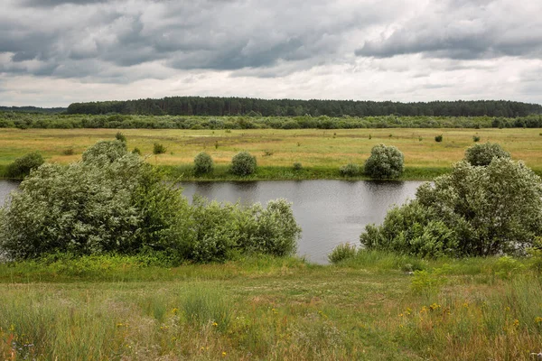 Paisaje Con Lago Dragatske Cerca Sarny Región Rivne Ucrania Ucrania — Foto de Stock