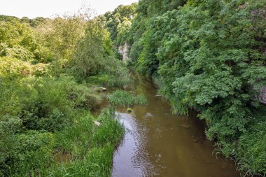 Kanyondaki Smotrych Nehri 'ne bak. Kamianets-Podilskyi, Ukrayna.