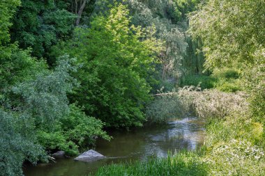 Kanyondaki Smotrych Nehri 'ne bak. Kamianets-Podilskyi, Ukrayna.