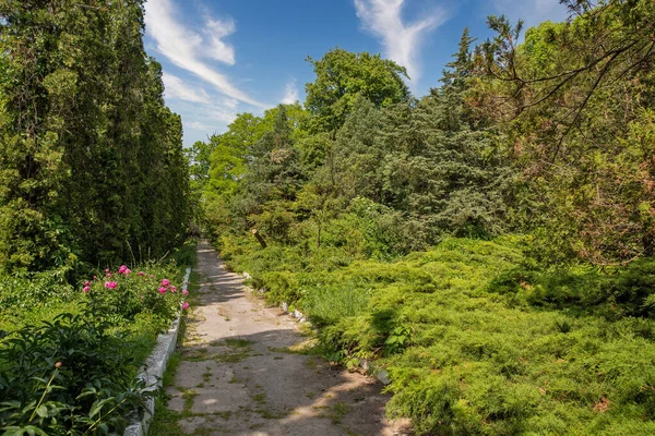 Θέα Πάνω Από Βοτανικό Κήπο Στο Kamianets Podilskyi Ουκρανία — Φωτογραφία Αρχείου