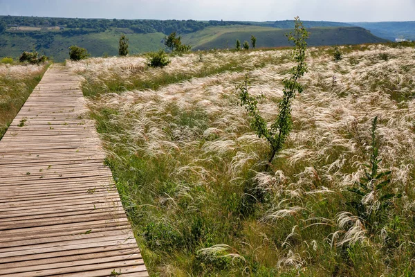 有木制木板人行道的夏季风景 乌克兰Podilski Tovtry国家公园德涅斯特河上的Bakota湾水库 — 图库照片