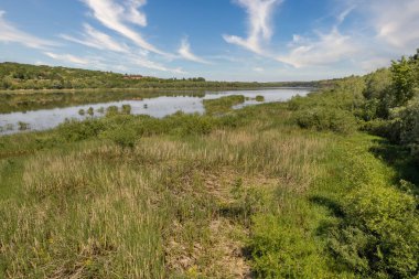 River Dniester Ukrayna 'daki manzara kıyıları.