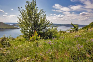Ulusal Park Podilski Tovtry, Ukrayna 'daki Dnister nehri üzerindeki Bakota Körfezi rezervuarı manzarası.
