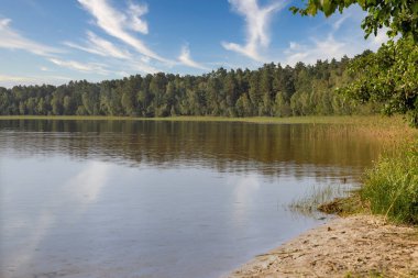 Ukrayna 'nın Rivne bölgesindeki Beyaz Göl kıyıları.