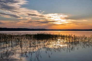 Gündoğumu güneşi Ukrayna 'nın Rivne bölgesindeki Beyaz Göl' deki akıntılara bakıyor.