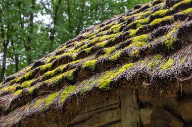 Halk mimarisi müzesinde sazdan çatılı ahşap etnik ev ve Halych, Batı Ukrayna 'daki Karpatya Bölgesi' nin yaşamı.