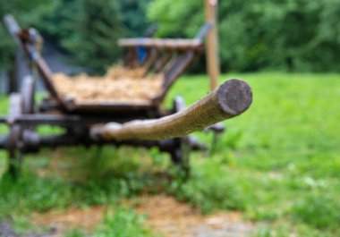 Halych, Batı Ukrayna 'daki Karpat Bölgesi Halk Mimarisi Müzesi' ne yakın ahşap bir at arabası sapı..