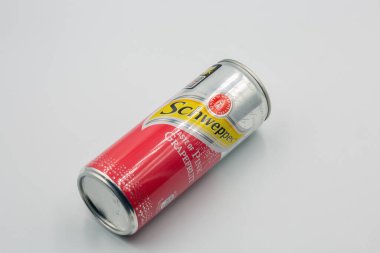 Kyiv, Ukrayna - 15 Aralık 2022: Schweppes Pembe Greyfurt 'un Stüdyo Çekimi Schweppes tüm dünyada satılan bir İsviçre meşrubat markasıdır..