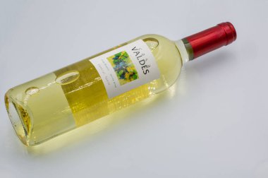 Kyiv, Ukrayna - 10 Ağustos 2023: Casa Valdes Orta İspanya 'nın stüdyo çekimi beyaz arka plana yakın beyaz şarap şişesi.