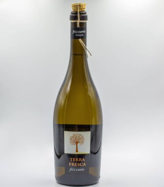 Kyiv, Ukrayna - 10 Ağustos 2023: İtalyan Terra Fresca frizzante 'nin stüdyo çekimi beyaz arkaplana karşı köpüklü şarap şişesi.