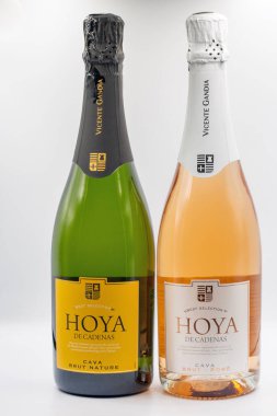 Kyiv, Ukrayna - 19 Mayıs 2024: İspanyol Hoya de Cadenas cava brut doğa stüdyoları ve gül şişeleri beyaz arka plana yakın çekim.
