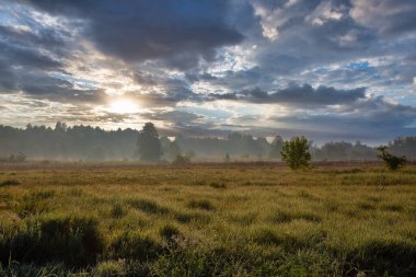 Yazın erken saatlerinde, Ukrayna 'nın Ros nehri üzerindeki puslu manzara. Dramatik gökyüzü.